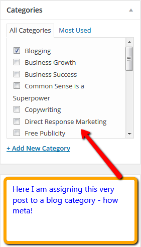 Assigning a Post to a Blog Category